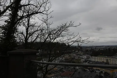 DSC_7041 (Large).JPG